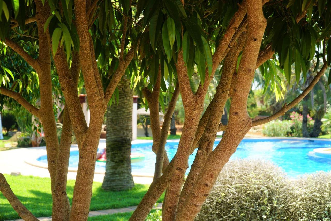 Agroturismo Finca Sa Tanca Cala D´Or Dış mekan fotoğraf