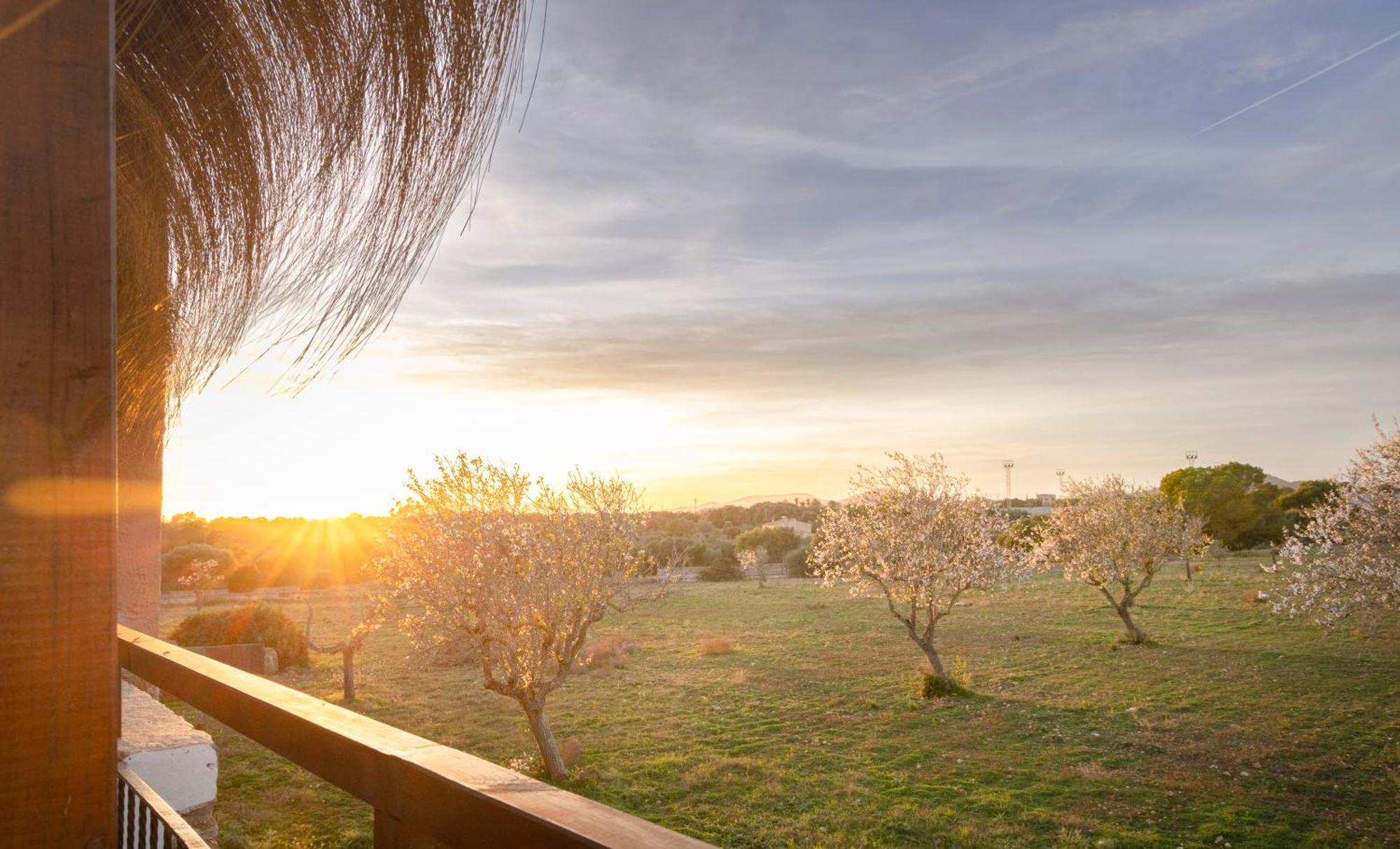 Agroturismo Finca Sa Tanca Cala D´Or Dış mekan fotoğraf